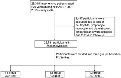 The relationship between the pan-immune-inflammation value and long-term prognoses in patients with hypertension: National Health and Nutrition Examination Study, 1999–2018